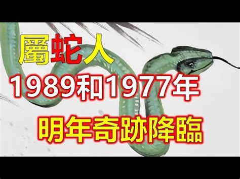 1989屬|【1989 屬相】驚！1989年生屬相大起底：蛇子蛇女命運揭秘